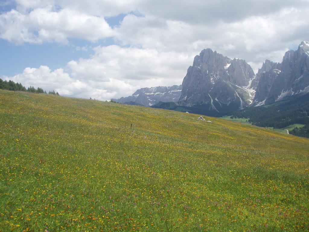 Garni La Majon Hotel Selva di Val Gardena Kültér fotó