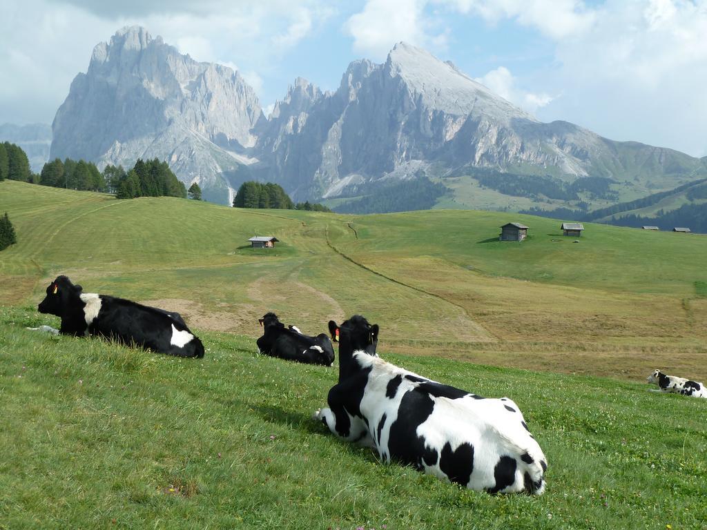 Garni La Majon Hotel Selva di Val Gardena Kültér fotó